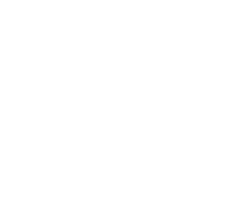 Ryze Dragon